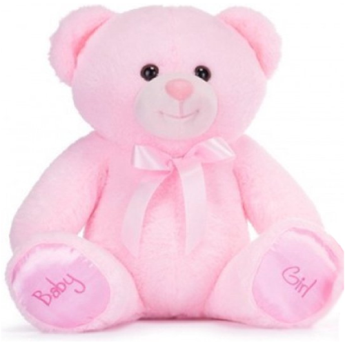 Baby Girl Teddybeer Roze Pluche Knuffel (Kraamcadeau Meisje) 22 cm