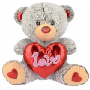 Teddybeer Grijs met Rood Hart Love Pluche Knuffel 22 cm