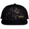 Harry Potter Snapback Pet