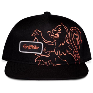 Harry Potter Snapback Pet