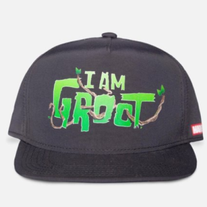 Marvel Guardians Of The Galaxy Kinder Snapback Pet